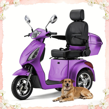 SKRT XW-E02 Large Electric 3-Wheel Mobility Scooter – Heavy-Duty 800W Motor, 500 lbs Capacity, Adjustable Speed, Remote Key, Fully Assembled – Ready to Ride