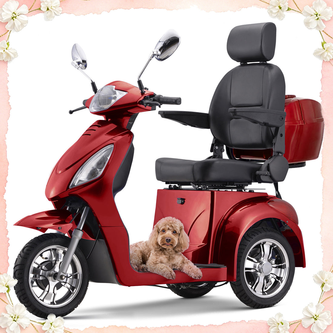 SKRT XW-E02 Large Electric 3-Wheel Mobility Scooter – Heavy-Duty 800W Motor, 500 lbs Capacity, Adjustable Speed, Remote Key, Fully Assembled – Ready to Ride